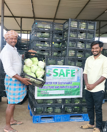 Farmer holding crate of produce